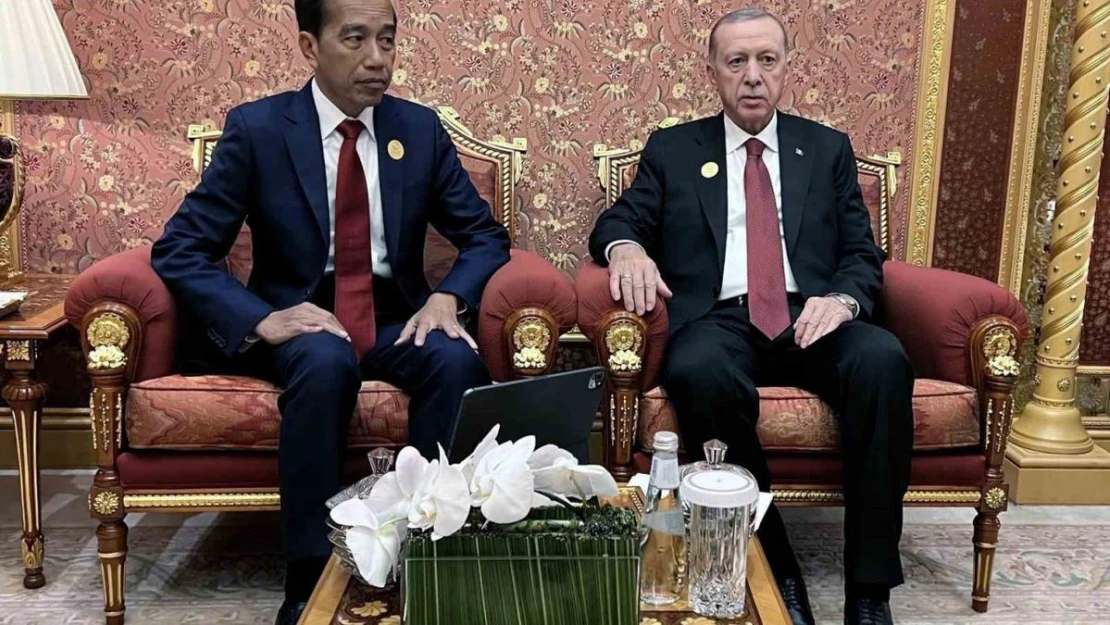 Cumhurbaşkanı Erdoğan, Endonezya Devlet Başkanı Widodo ile görüştü