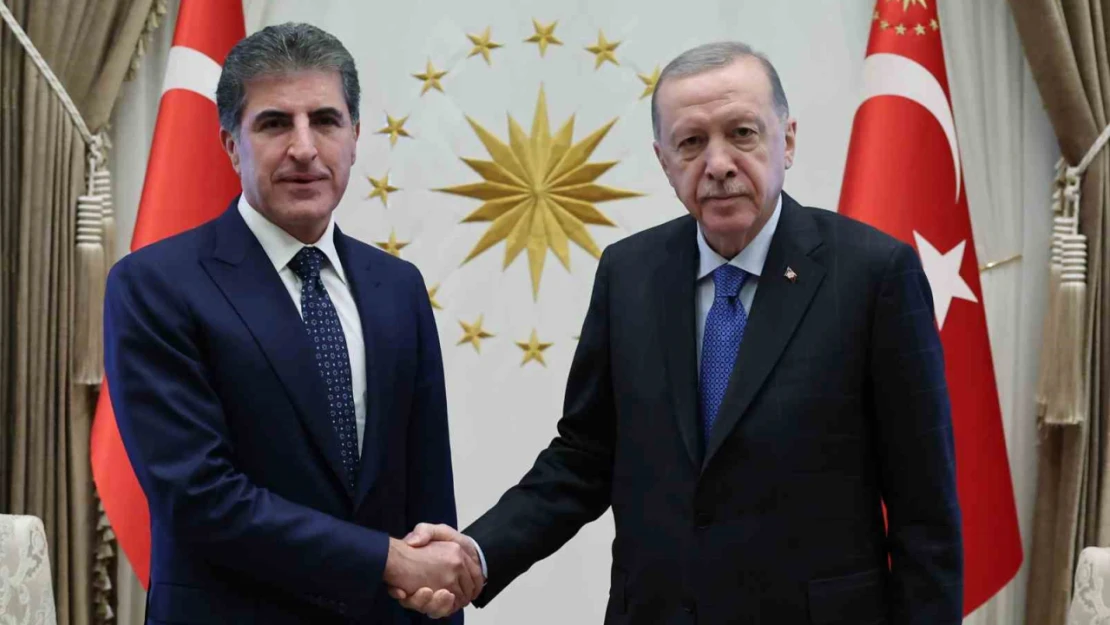 Cumhurbaşkanı Erdoğan, IKBY Başkanı Barzani'yi kabul etti