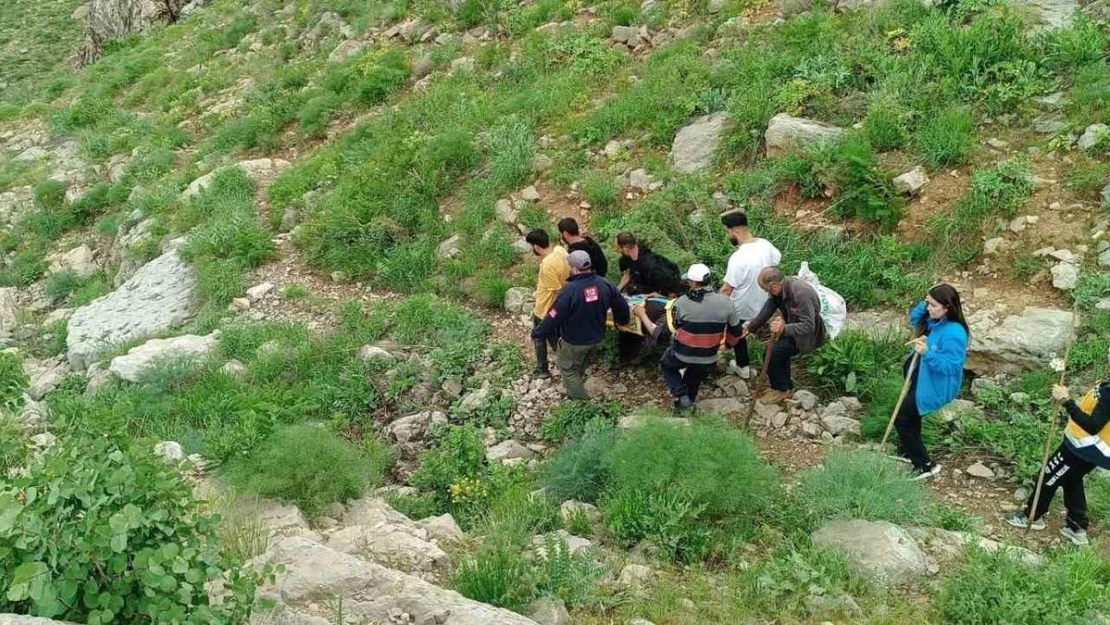 Dağda rahatsızlanan vatandaş ambulans helikopterle kurtarıldı