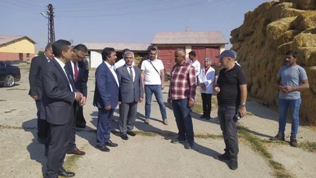 DAP'ta proje sayısında Erzurum, harcama rakamında Malatya şampiyon