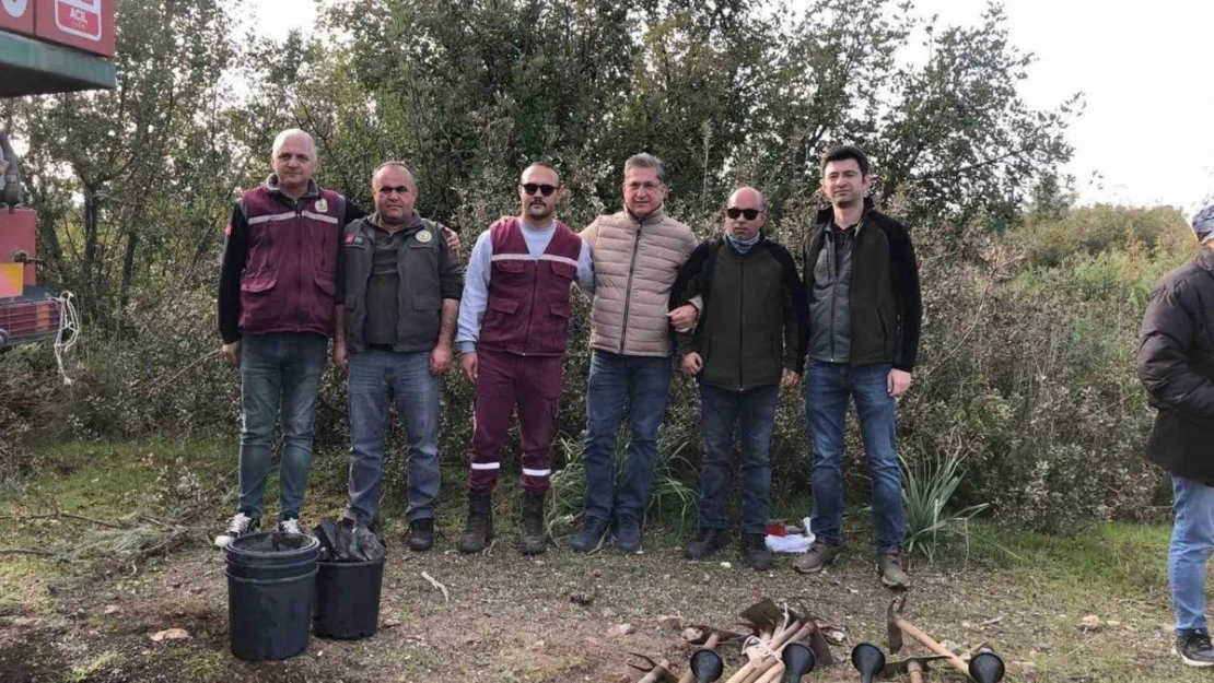 Datça'da gelecek için fidan diktiler