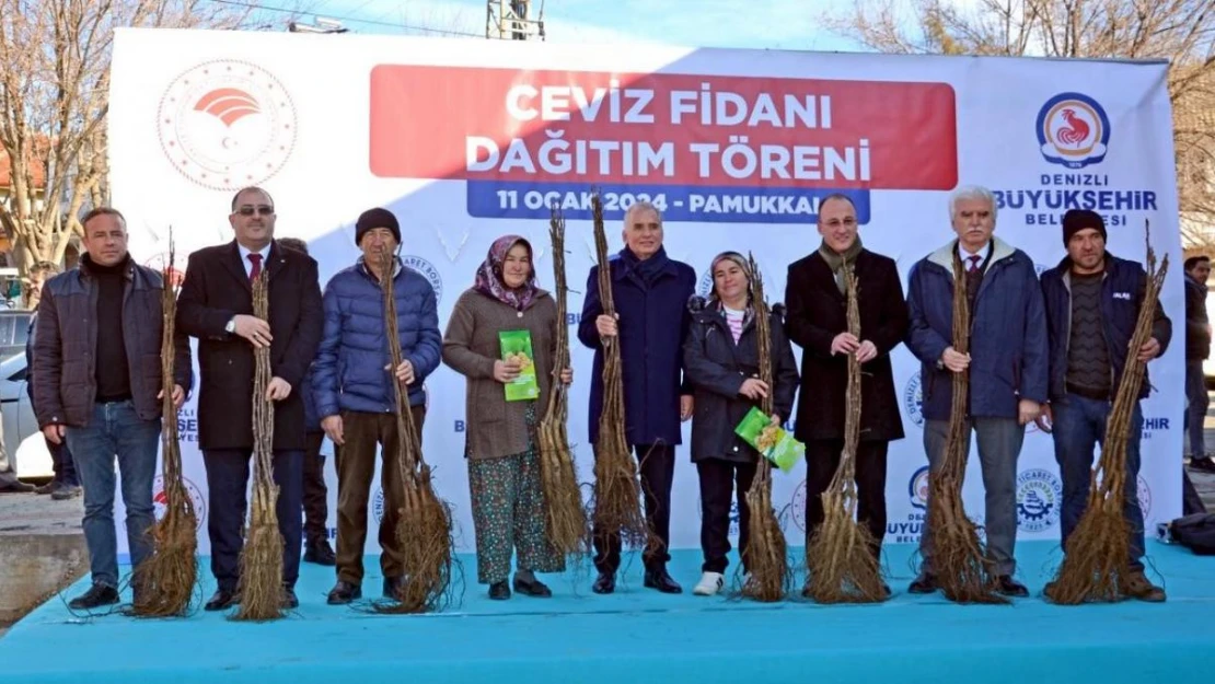 Denizli, Türkiye'nin ceviz üretim merkezi olma yolunda ilerliyor