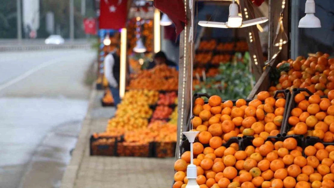 Derepazarı mandalinasında hasat iyi, satışlar kötü