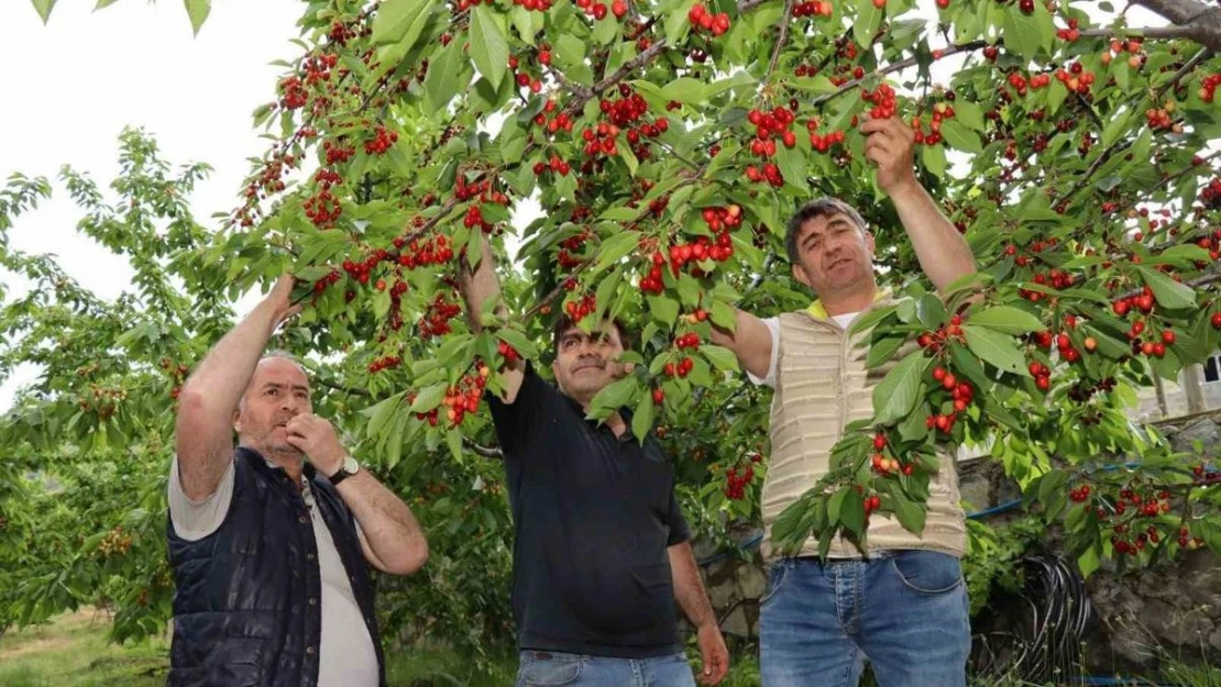 Devlet desteği ile hayalini kurduğu meyve bahçesine kavuştu