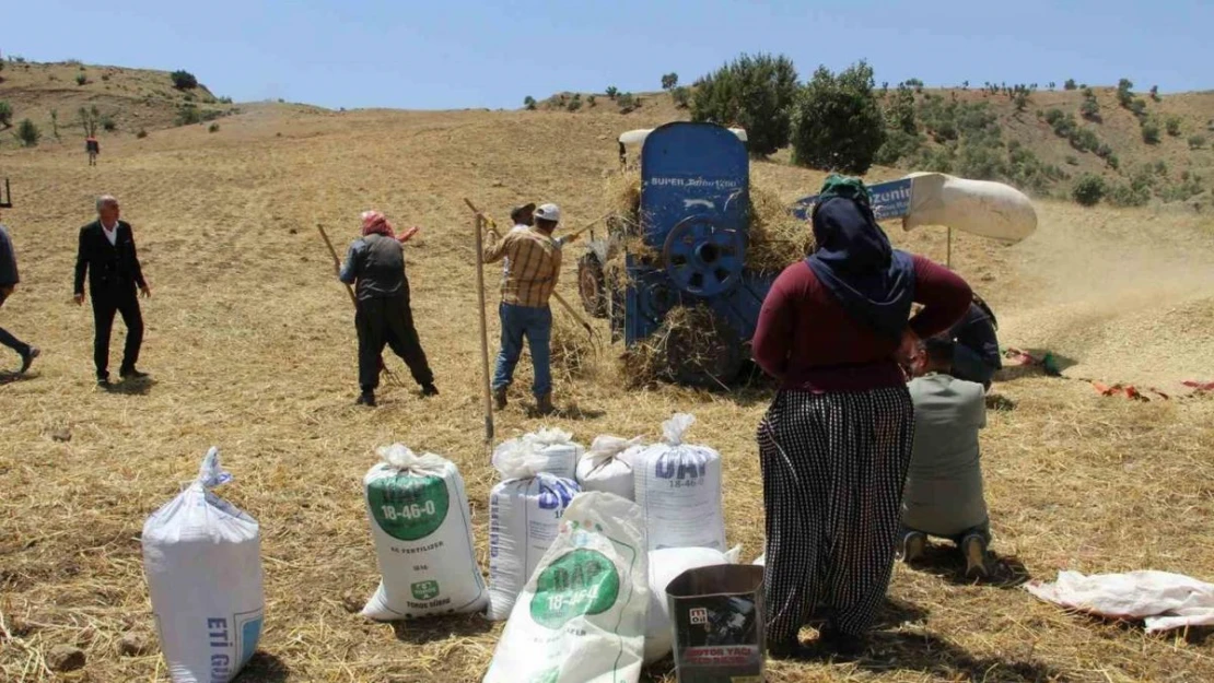 Devlet desteğiyle atıl durumdaki arazi tarıma kazandırıldı