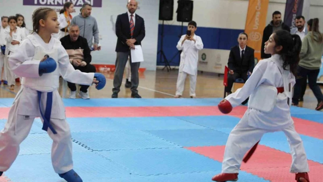 Diyarbakır'da 311 çocuk karate turnuvasında mücadele etti