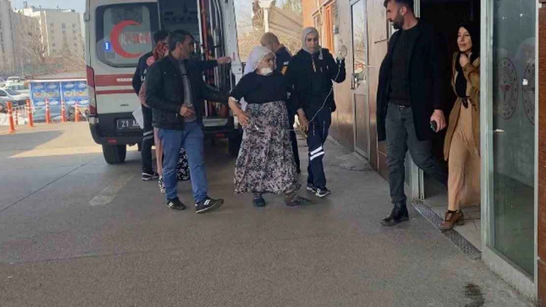 Diyarbakır'da 72 yaşındaki kadın besledikleri köpeğin saldırısına uğradı