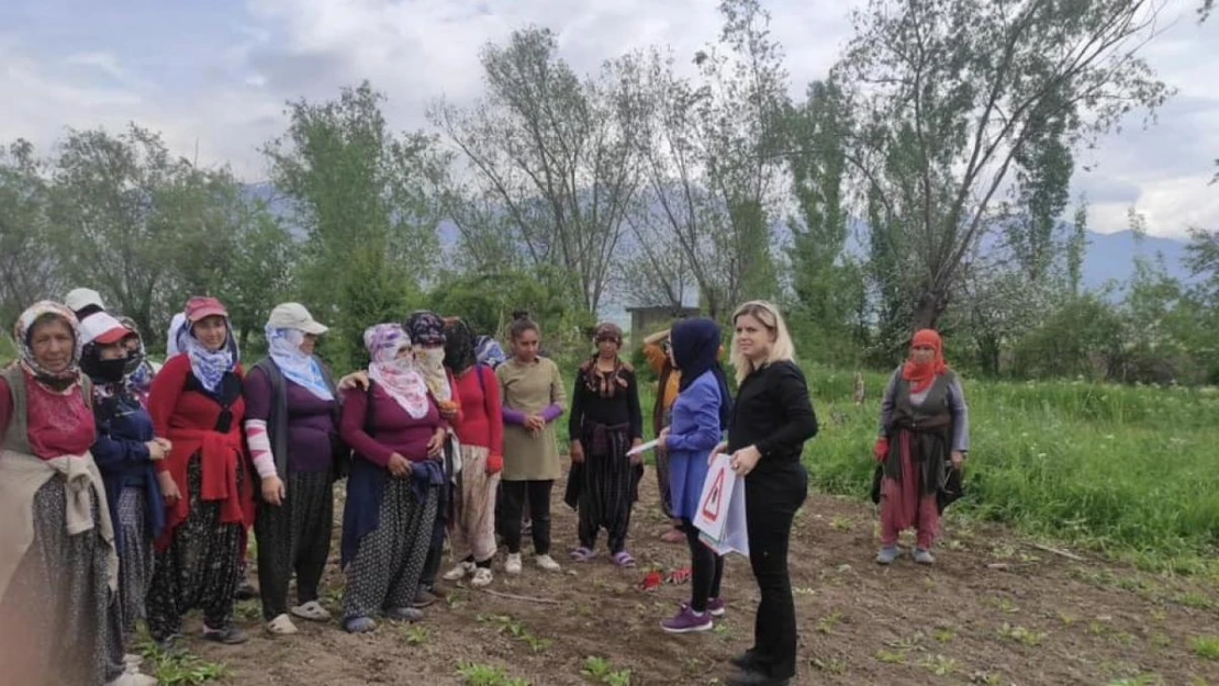 Doğada bulunurken kene popülâsyonuna dikkat!