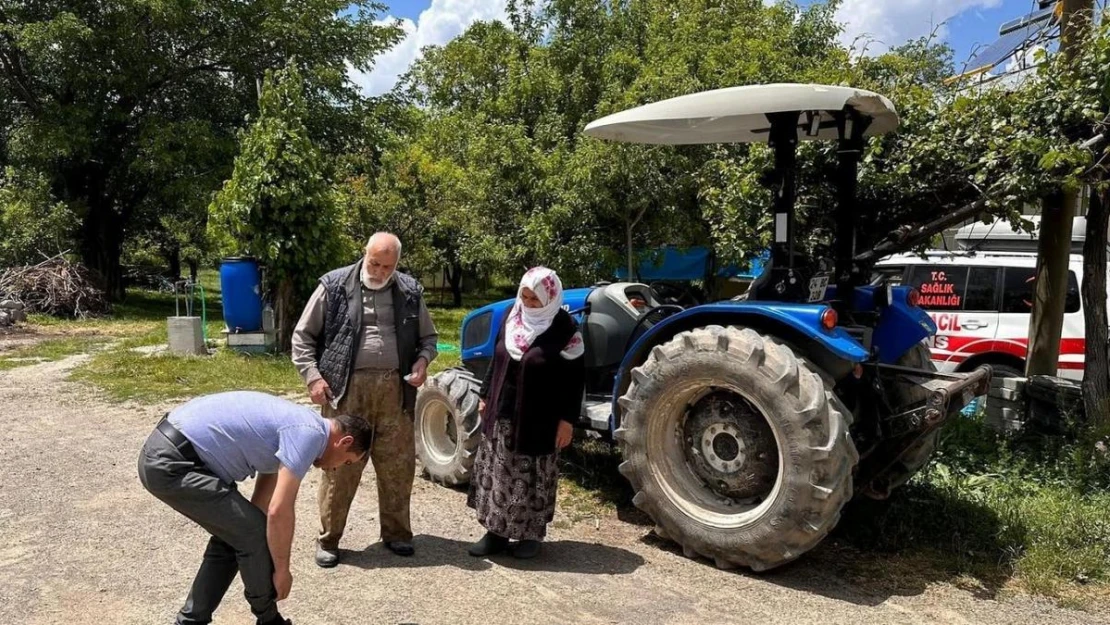 Doğada bulunurken kene popülâsyonuna dikkat!