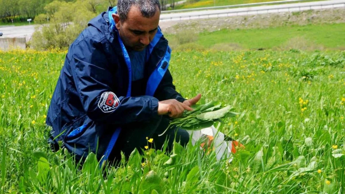 Doğadan sofralara gelen lezzetler