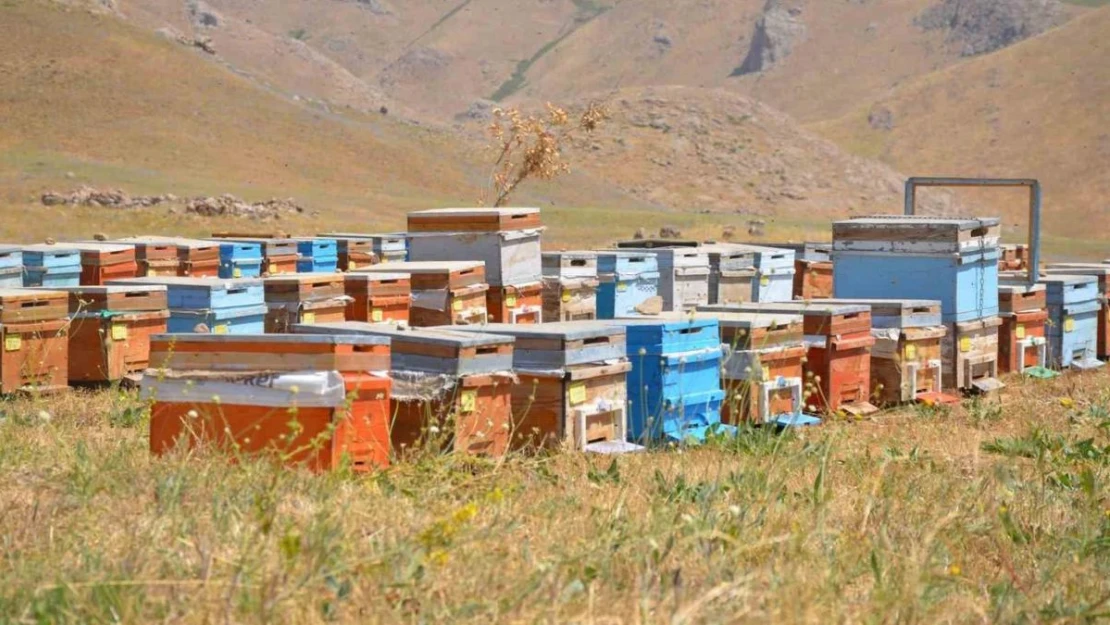 Doğal bal üreticileri tedirgin