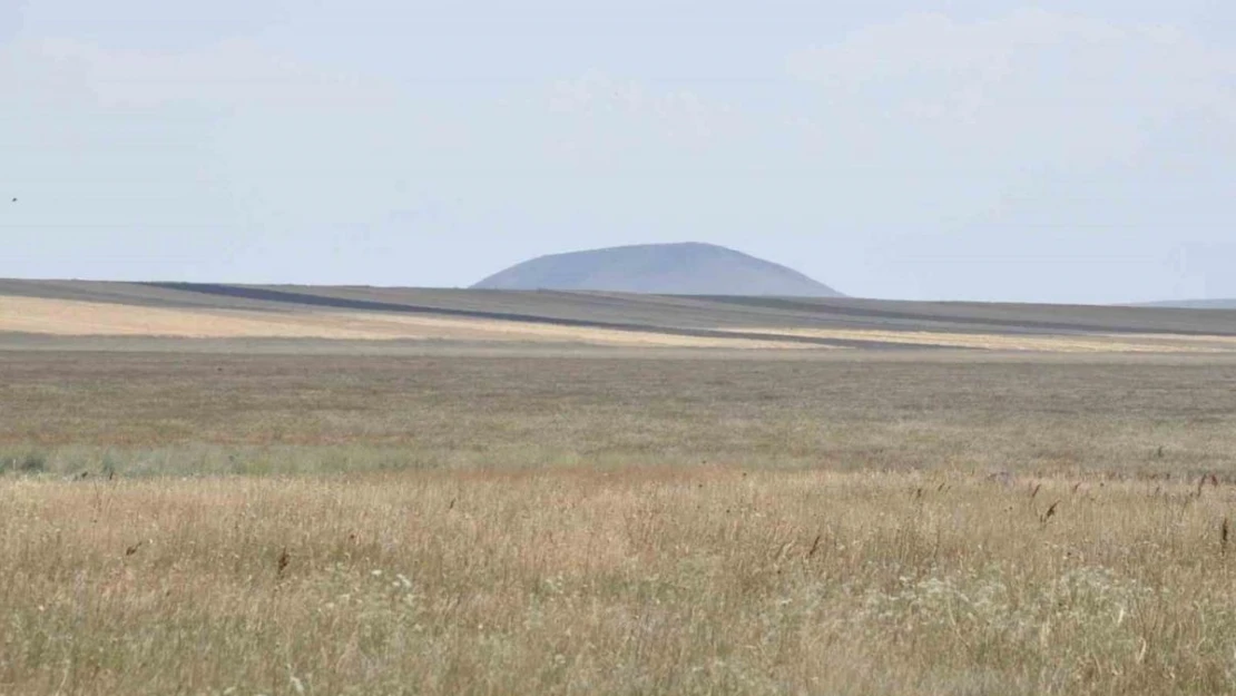 Doğu Anadolu'nun ilk Ramsar alanıydı