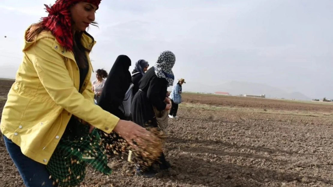 Doğubayazıtlı kadınlar toprağa hayat verdi