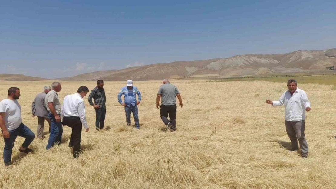 Dolu yağışı tarım arazilerine zarar verdi