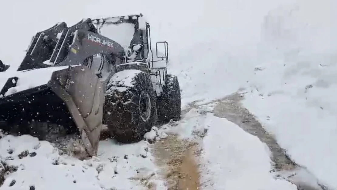 Doski Vadisi'nde mayıs ayında 5 metreyi bulan kar görüntüleri hayrete düşürüyor