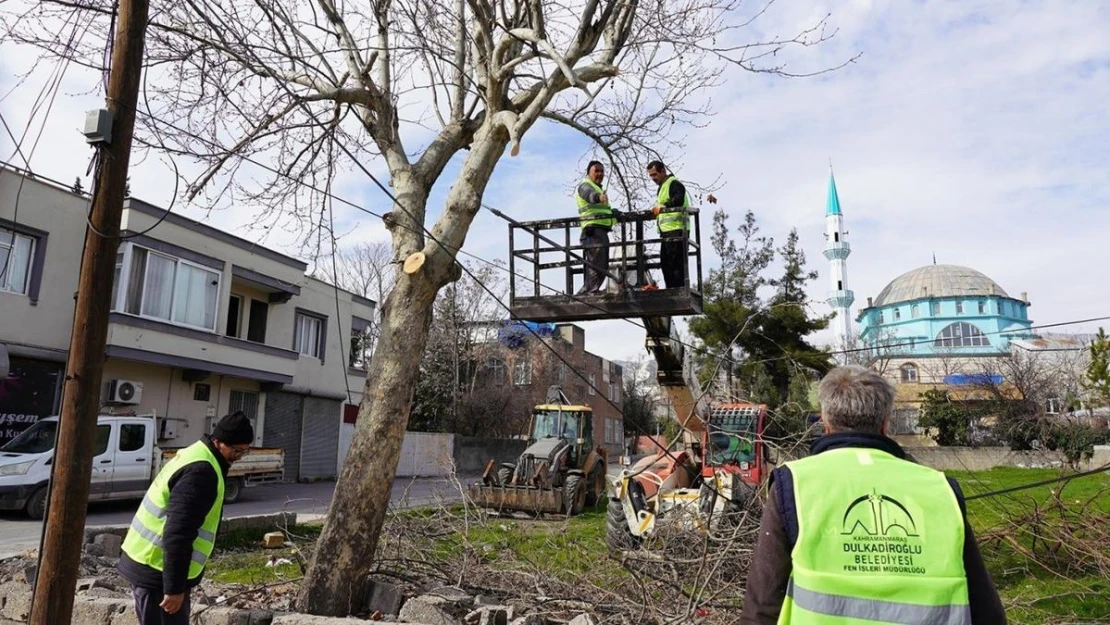 Dulkadiroğlu'nda budanan ağaçlar sosyal yardıma dönüşüyor