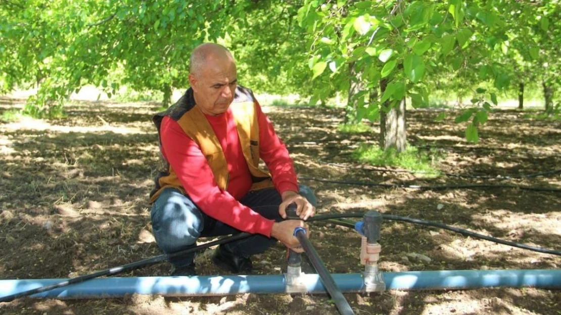 Dut üreticileri yeni sezon için bahçeye indi