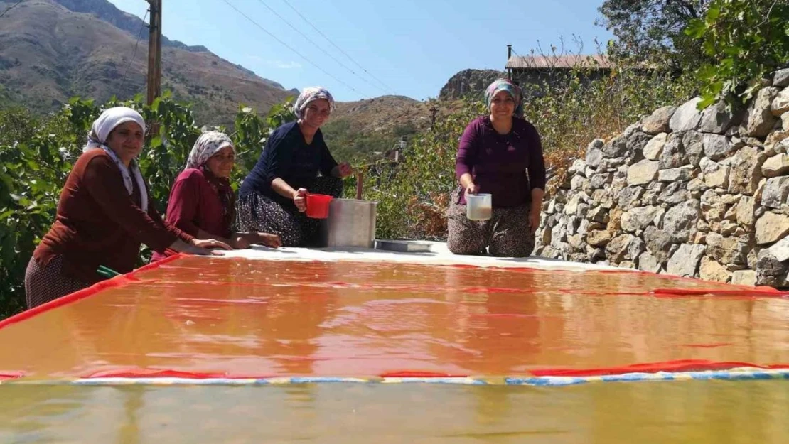 Kemaliye'de dut pekmezi ve pestil mesaisi başladı