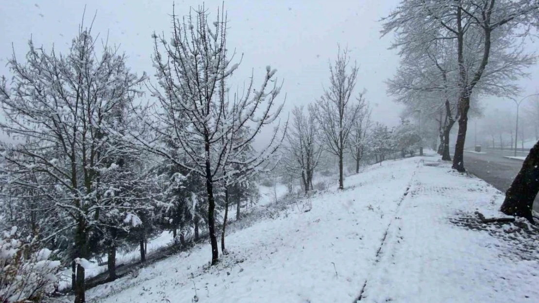 Düzce'de 26 köy yolu kar nedeniyle kapalı