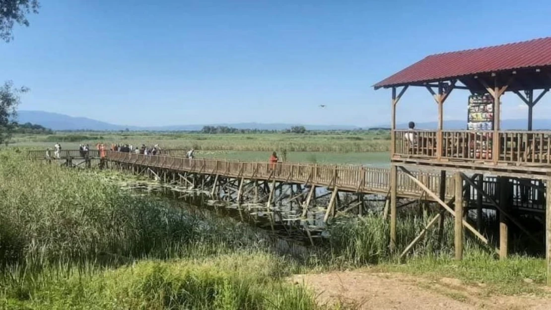 Düzce'nin tabiat parkları binlerce kişiyi ağırladı