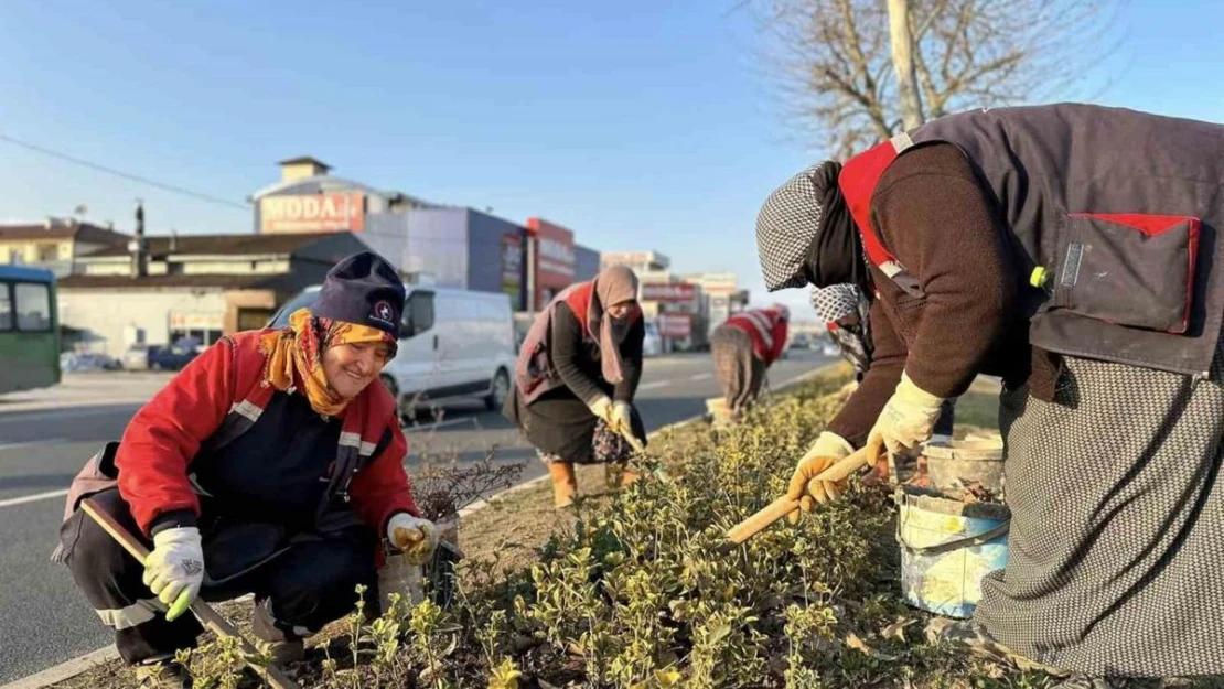 Düzce'yi kadınlar güzelleştiriyor