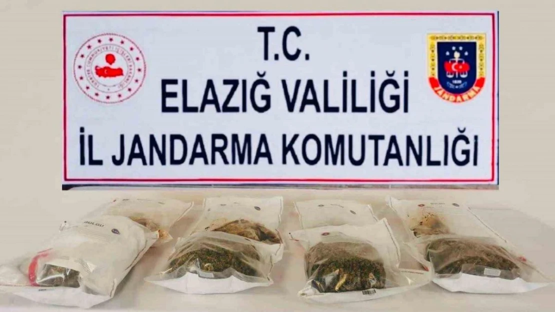 Elazığ'da jandarmadan uyuşturucu tacirlerine darbe