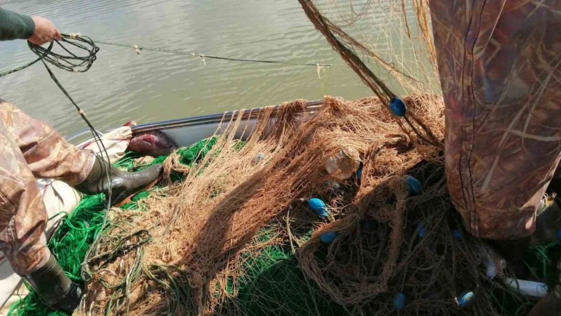 Elazığ'da 100 kilo canlı balık ele geçirildi