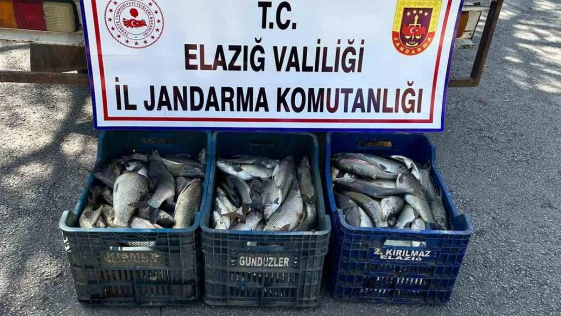 Elazığ'da kaçak balık avı yapan şüpheli yakalandı