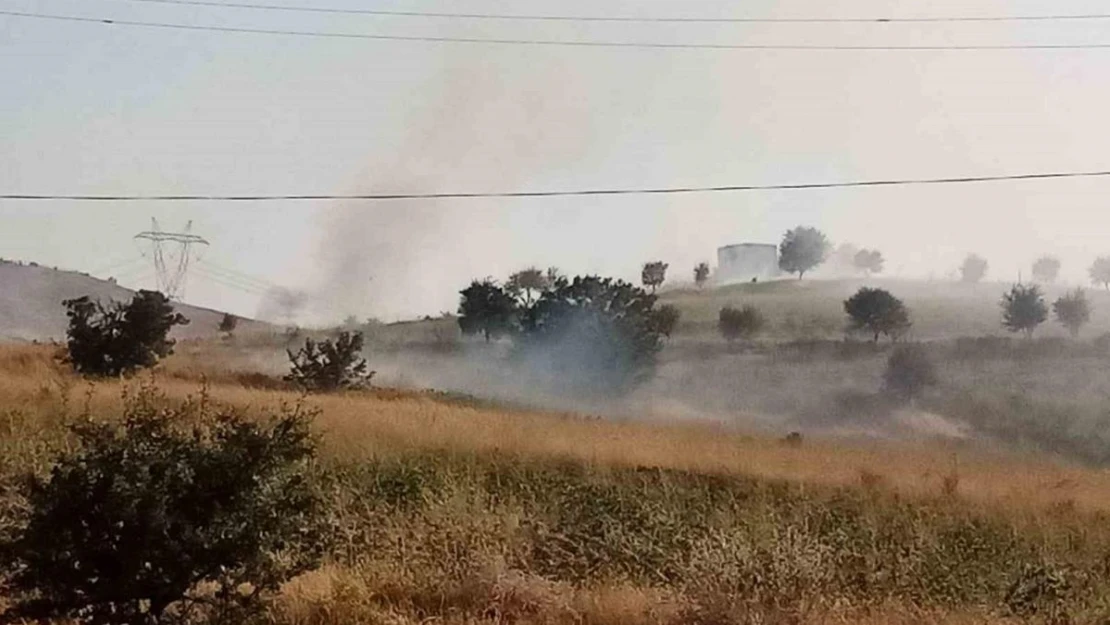 Elazığ'da ot yangını