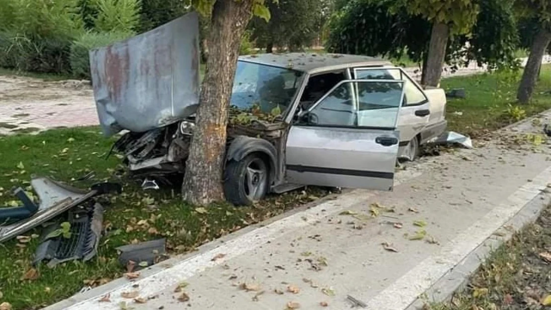 Elazığ'da otomobil ağaca çarptı: 1 yaralı