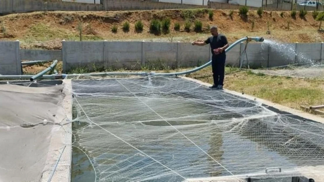 Elazığ'da Su Ürünleri AR-GE Merkezinde üretim çalışmaları sürüyor