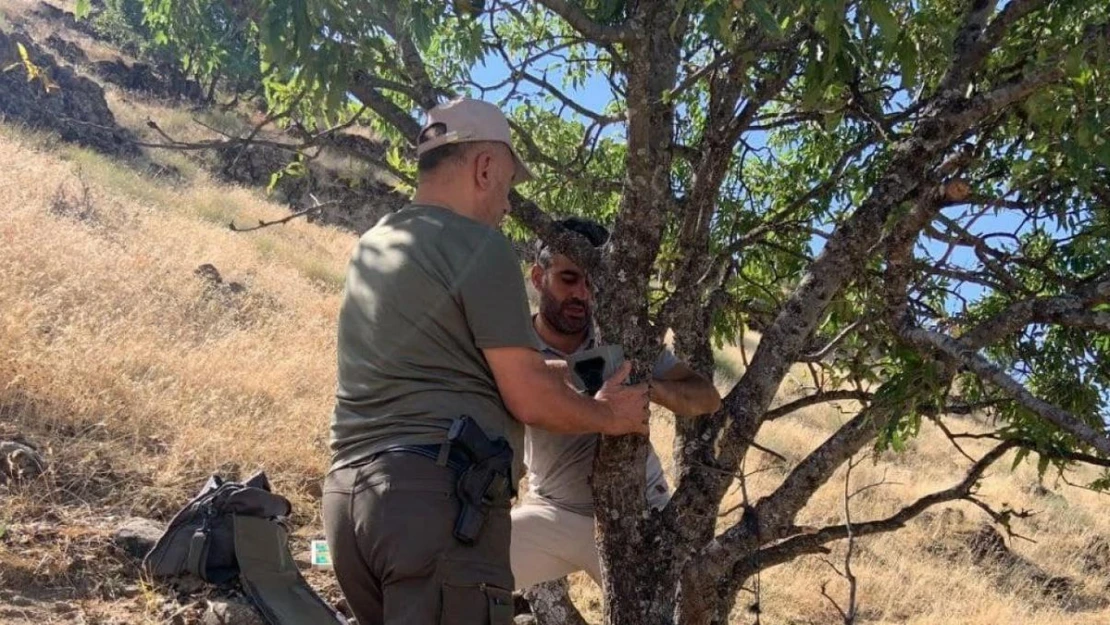 Elazığ'da yaban hayatını görüntüleyen fotokapanların bakımı yapıldı