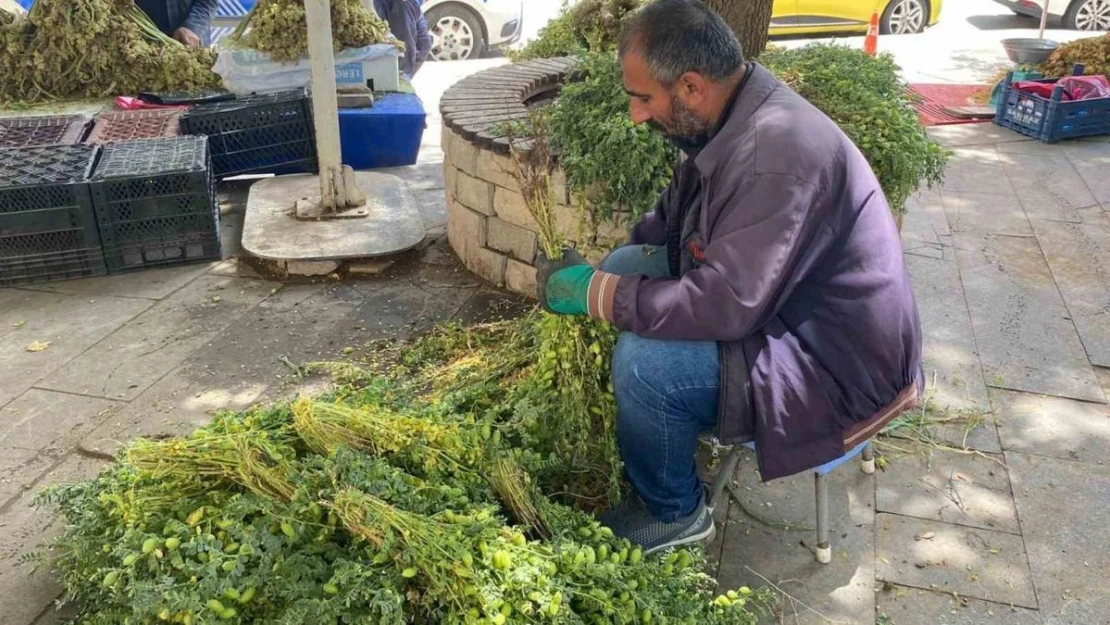 Elazığ'da yeşil nohut tezgahlardaki yerini aldı