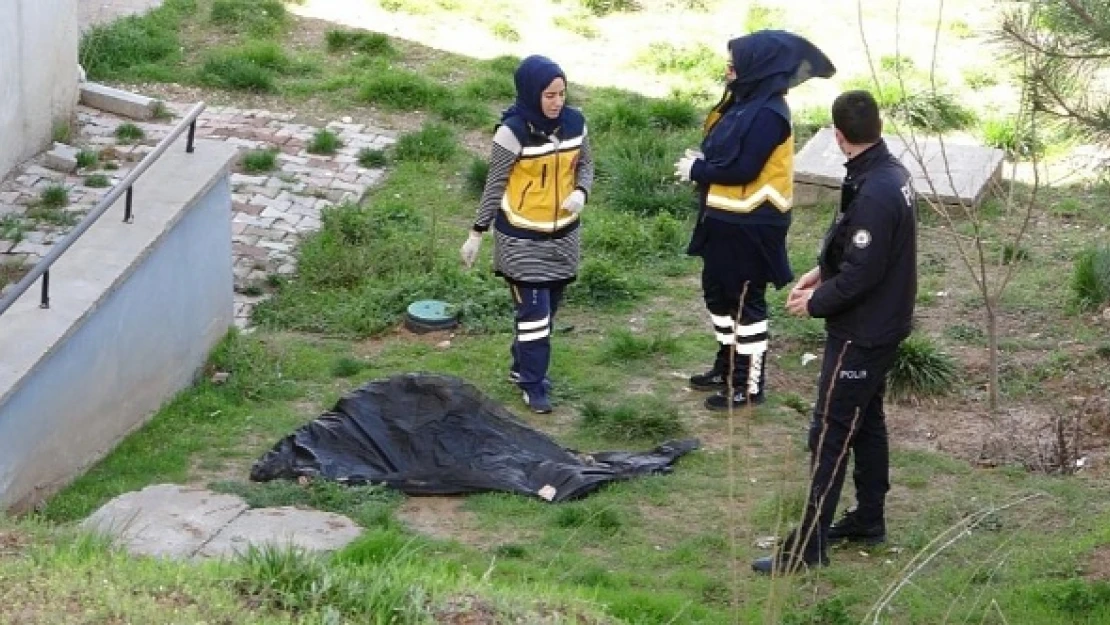 Elazığ'da esrarengiz olay: İnşaat işçileri buldu