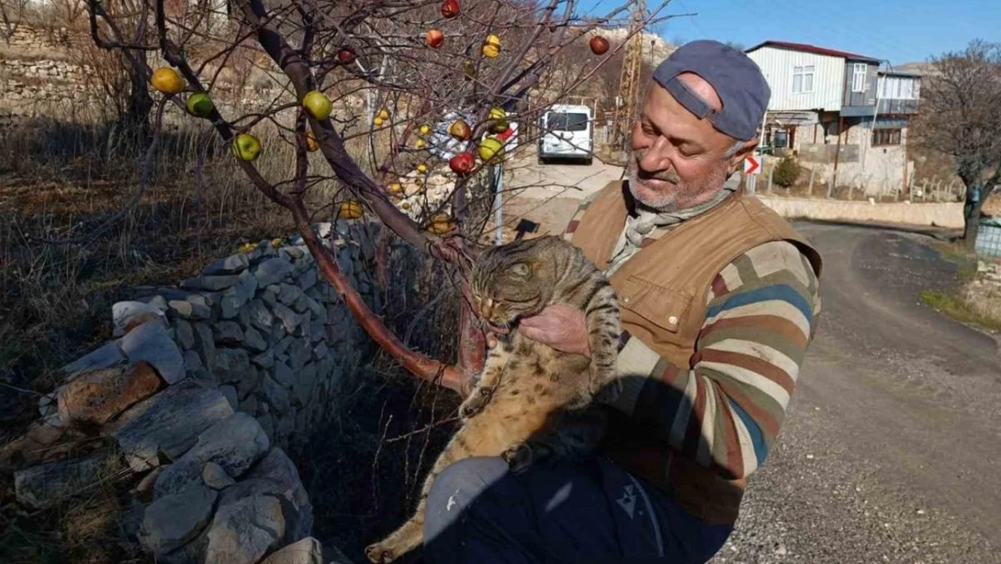 Emekli asker yaban hayvanları için doğaya yem bırakıyor