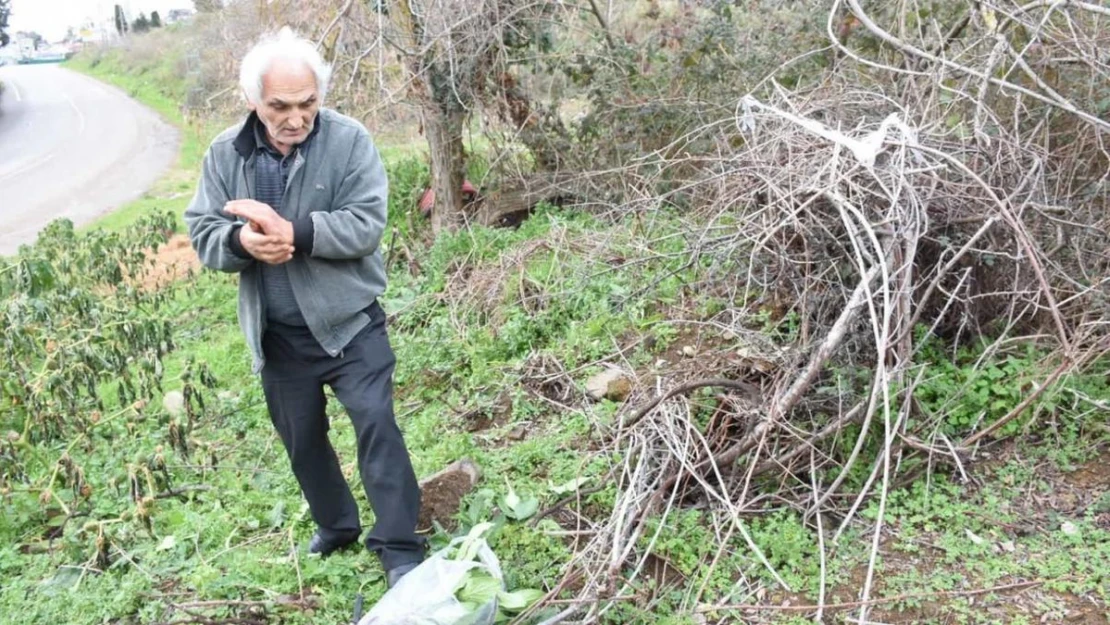 Emeklinin doğa tutkusu: Yenilebilen otları toplayarak sağlıklı yaşamı destekliyor