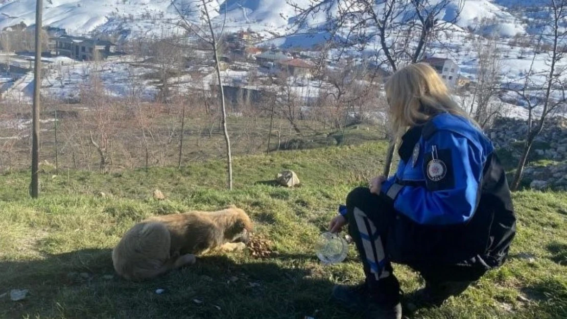 Emniyet personeli can dostları besledi