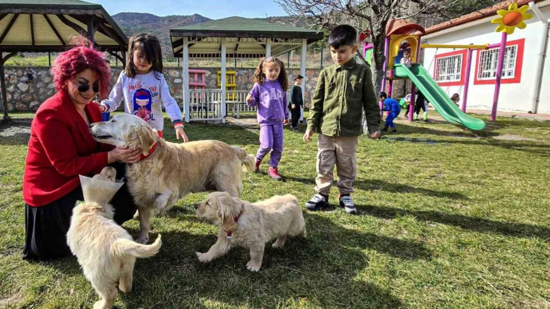 Engelli anne Boncuk ve yavruları okulun maskotu oldu