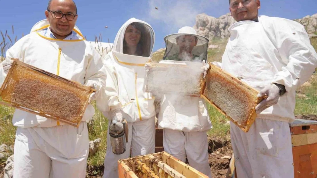 Erzincan'da 100 bin üzeri kolonide 1 milyon kilogram bal üretiliyor