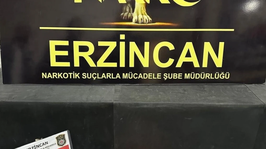 Erzincan'da 169,86 gram skunk ele geçirildi