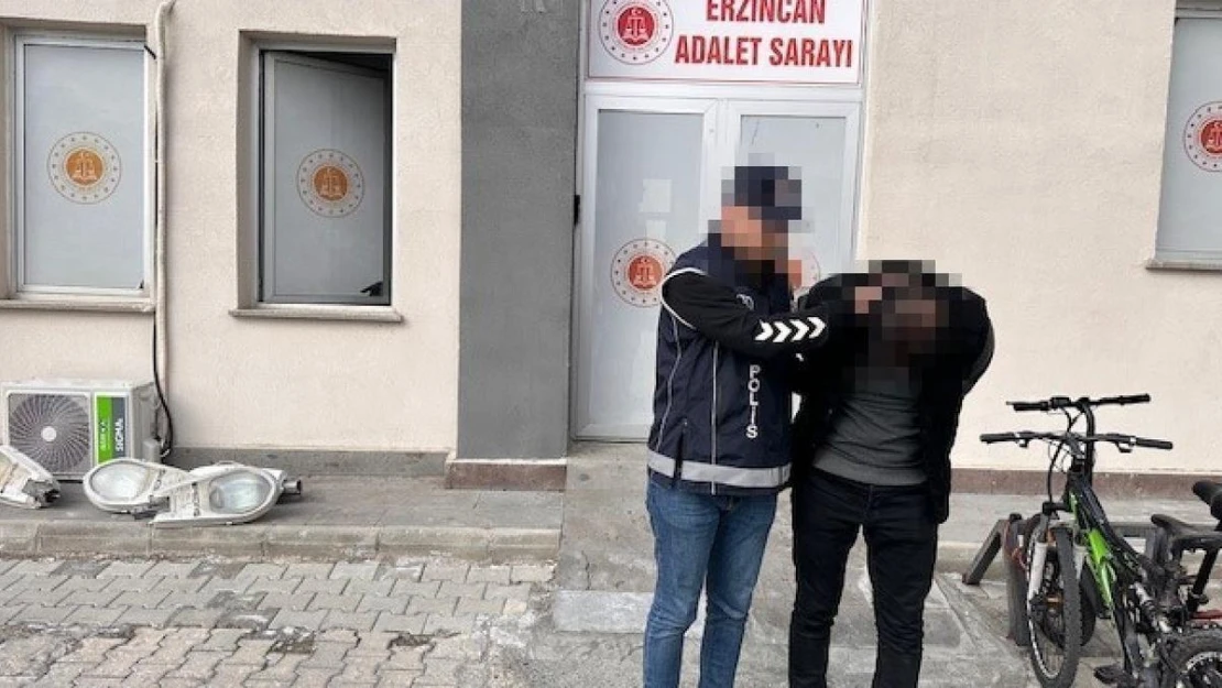 Erzincan'da 7 kaçak göçmen yakalandı, 1 organizatör tutuklandı