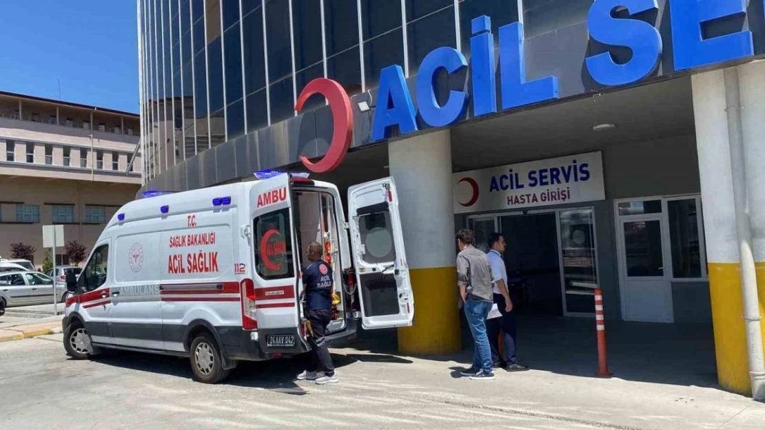 Erzincan'da acemi kasaplar hastanenin yolunu tuttu