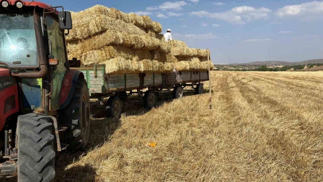 Erzincan'da çiftçilerin saman mesaisi başladı