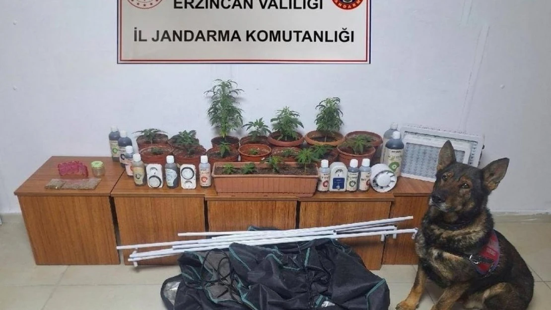 Erzincan'da jandarma ekipleri suç ve suçluya geçit vermiyor