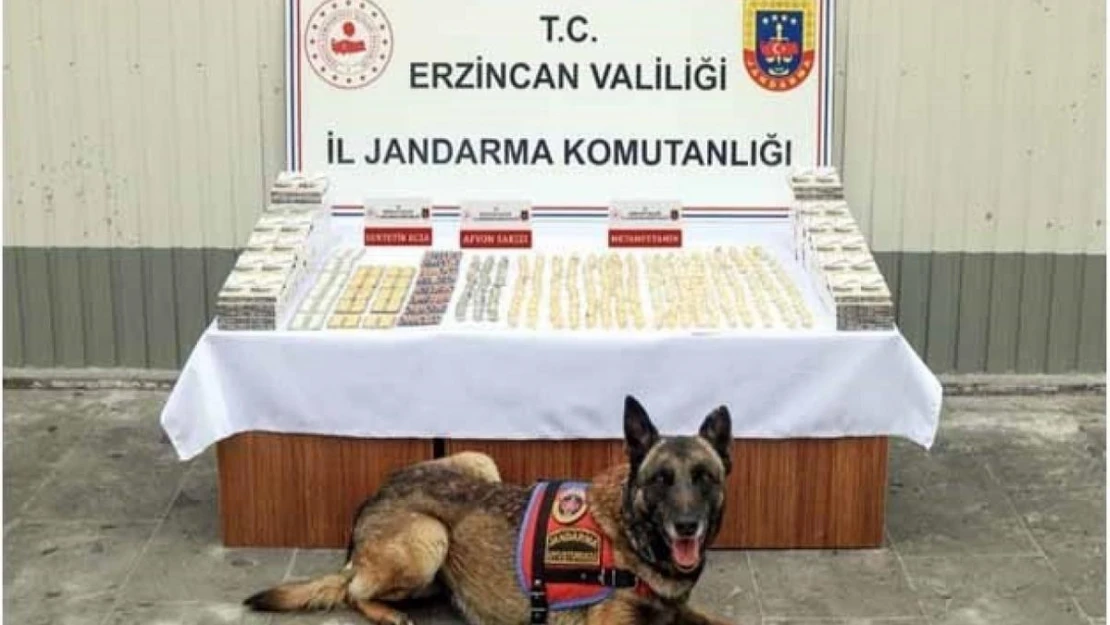 Erzincan'da jandarma ekiplerince 11 faili meçhul olayın 10'u aydınlatıldı