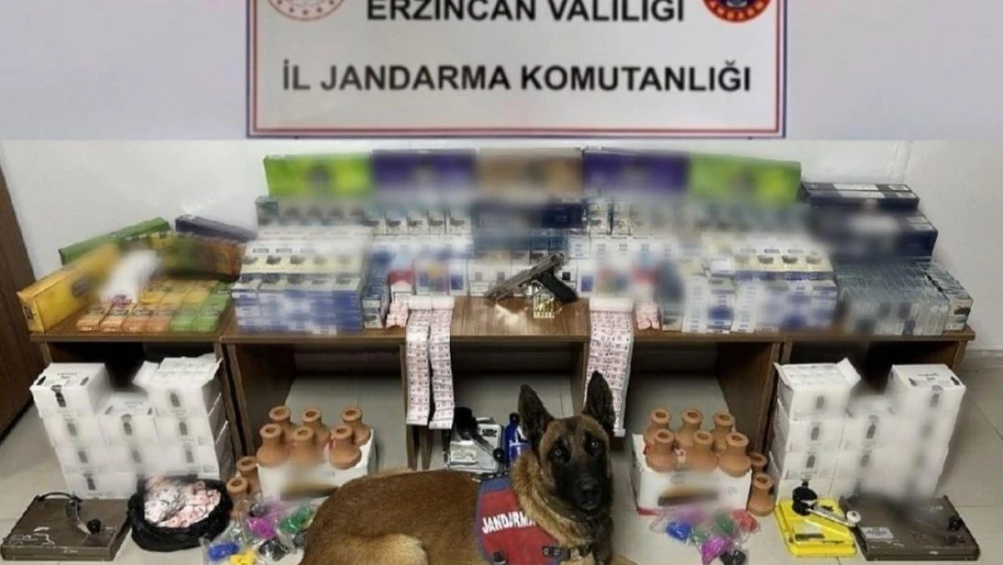 Erzincan'da jandarma ekiplerinden kaçak sigara operasyonu