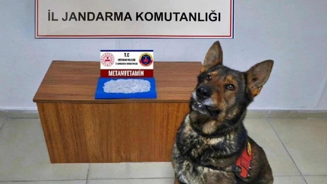 Erzincan'da jandarmadan uyuşturucu operasyonu: 1 tutuklama