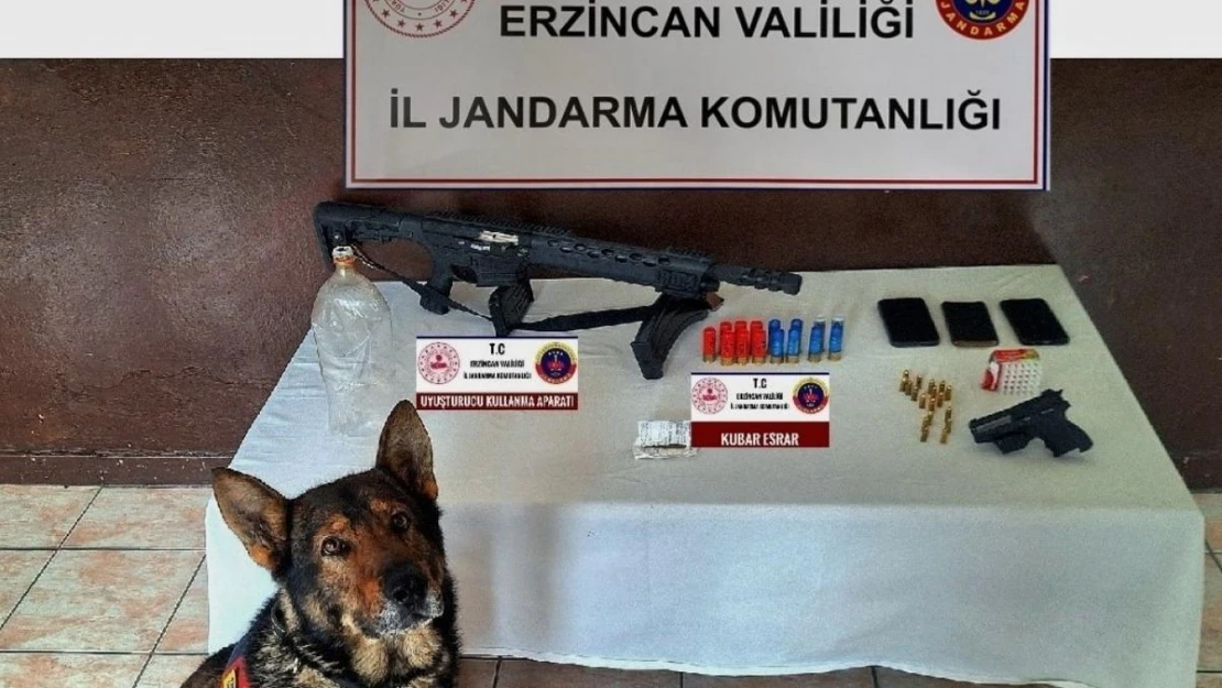 Erzincan'da jandarmanın 1 aylık faaliyeti açıklandı