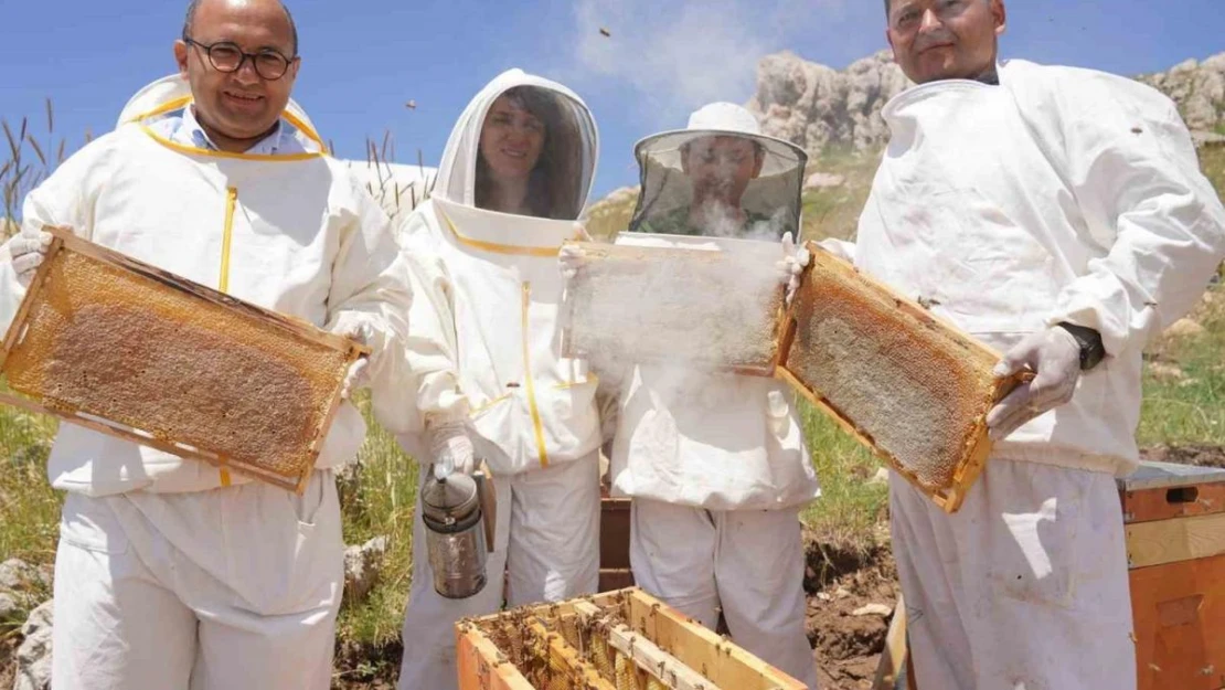 Erzincan'da kadınlar arı sütü üretecek