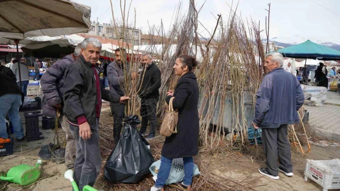 Erzincan'da meyve fidanı satışı başladı